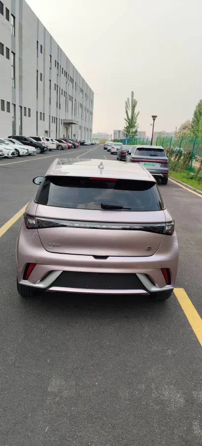 2023 BYD Dolphin BEV 44.928KWH,autocango,china used car exporter,china ev exporter,chinese used car exporter,chinese used ev exporter