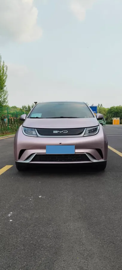 2023 BYD Dolphin BEV 44.928KWH,autocango,china used car exporter,china ev exporter,chinese used car exporter,chinese used ev exporter