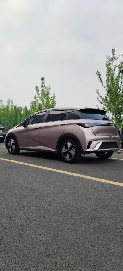 2023 BYD Dolphin BEV 44.928KWH,autocango,china used car exporter,china ev exporter,chinese used car exporter,chinese used ev exporter
