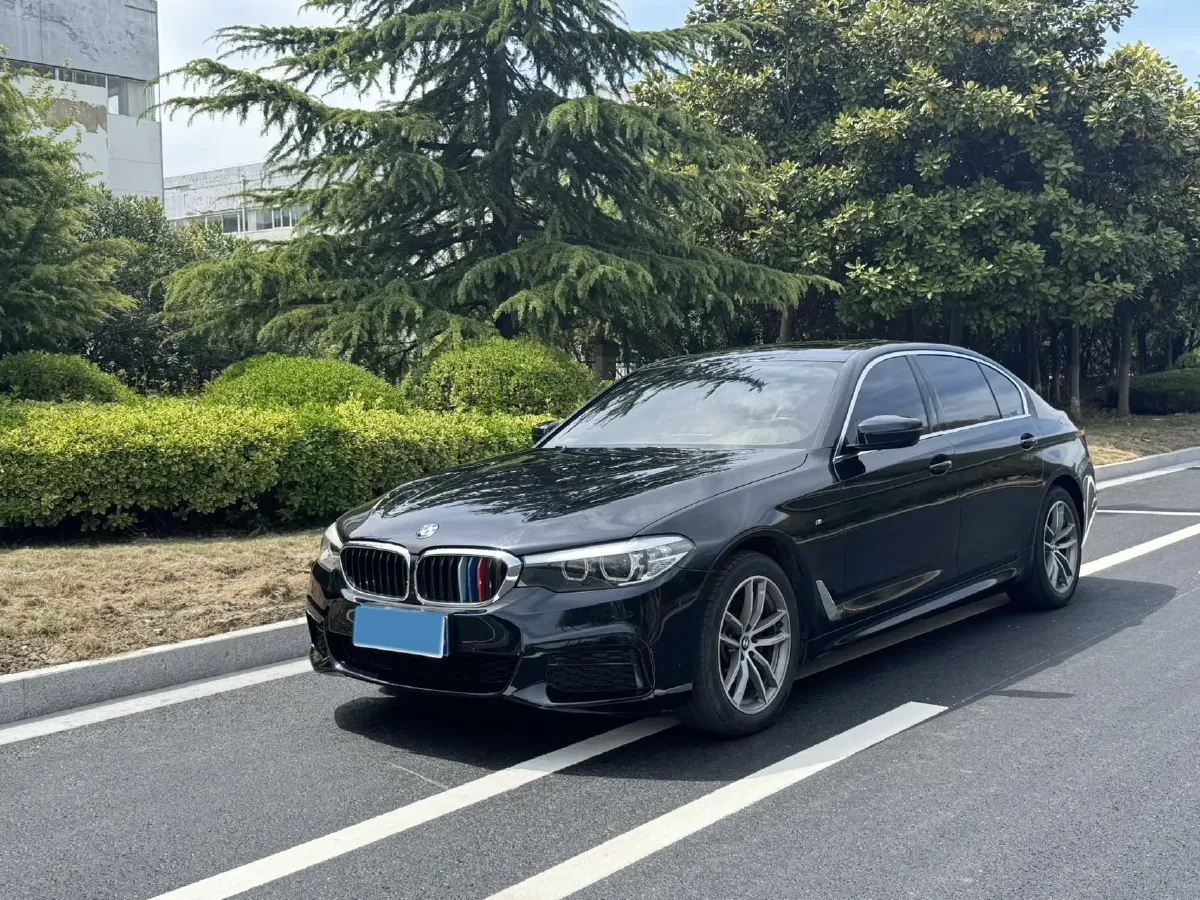 2020 BMW 5 Series 2.0T 184HP L4 8AT,autocango,china used car exporter,china ev exporter,chinese used car exporter,chinese used ev exporter