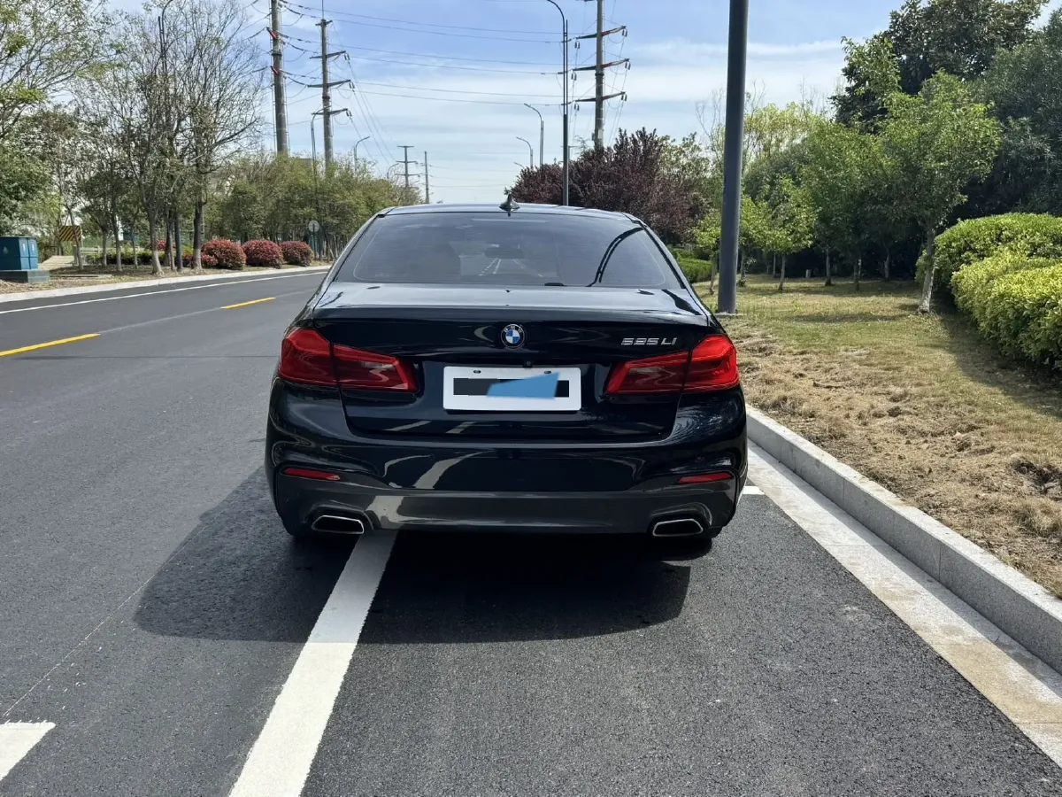 2020 BMW 5 Series 2.0T 184HP L4 8AT,autocango,china used car exporter,china ev exporter,chinese used car exporter,chinese used ev exporter