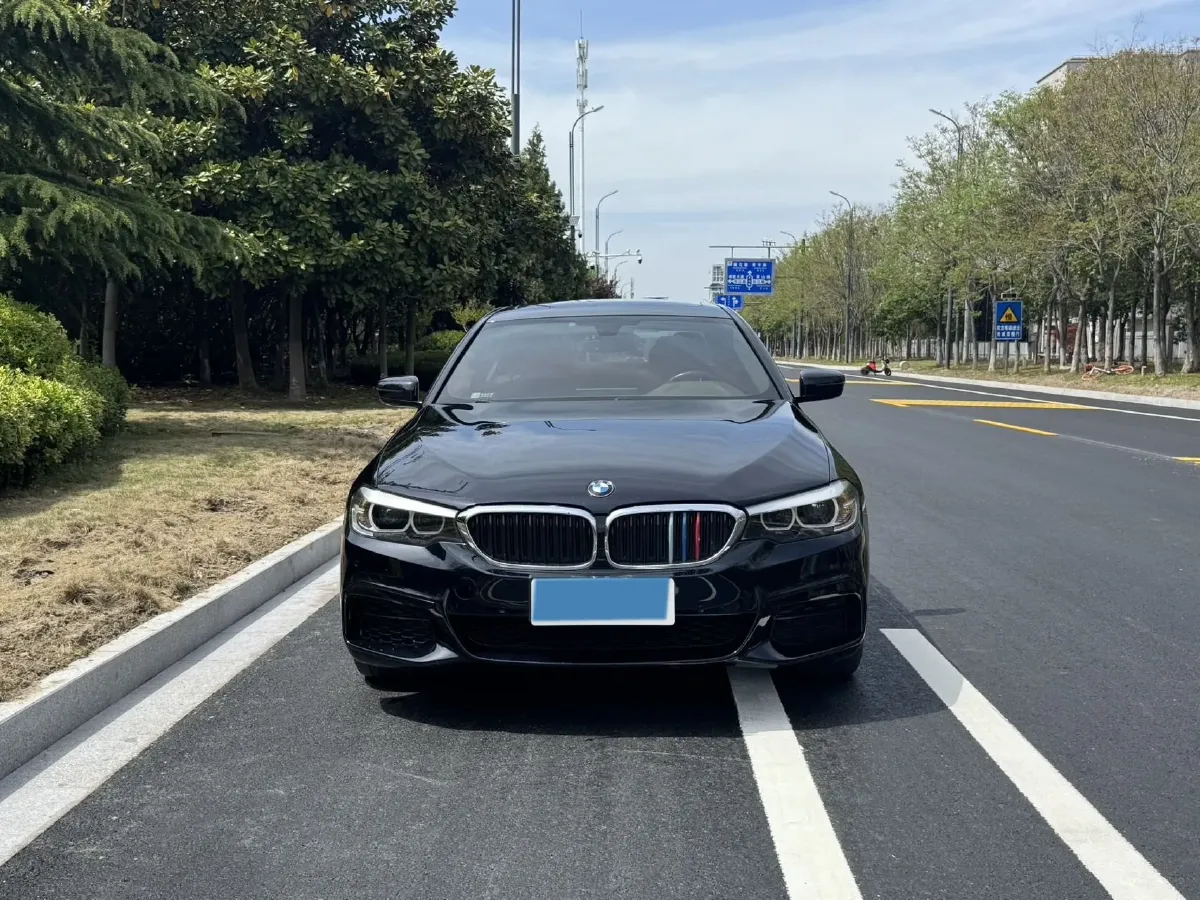 2020 BMW 5 Series 2.0T 184HP L4 8AT,autocango,china used car exporter,china ev exporter,chinese used car exporter,chinese used ev exporter