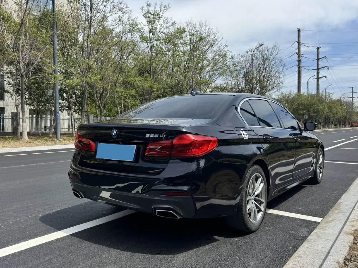 2020 BMW 5 Series 2.0T 184HP L4 8AT,autocango,china used car exporter,china ev exporter,chinese used car exporter,chinese used ev exporter