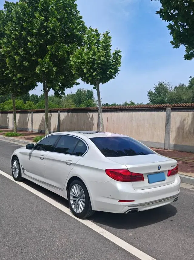2020 BMW 5 Series 2.0T 252HP L4 8AT,autocango,china used car exporter,china ev exporter,chinese used car exporter,chinese used ev exporter