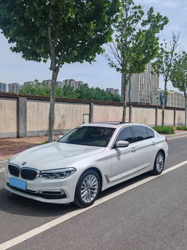 2020 BMW 5 Series 2.0T 252HP L4 8AT,autocango,china used car exporter,china ev exporter,chinese used car exporter,chinese used ev exporter