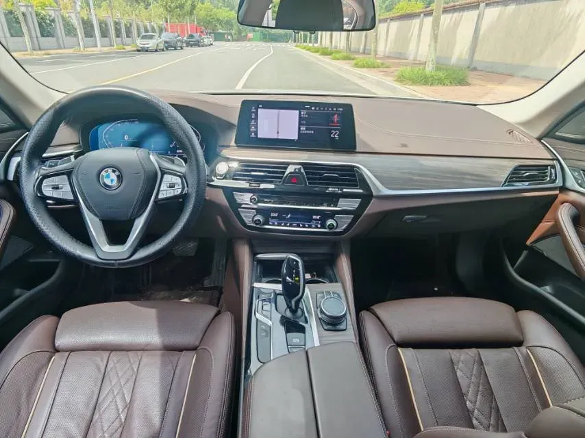 2020 BMW 5 Series 2.0T 252HP L4 8AT,autocango,china used car exporter,china ev exporter,chinese used car exporter,chinese used ev exporter