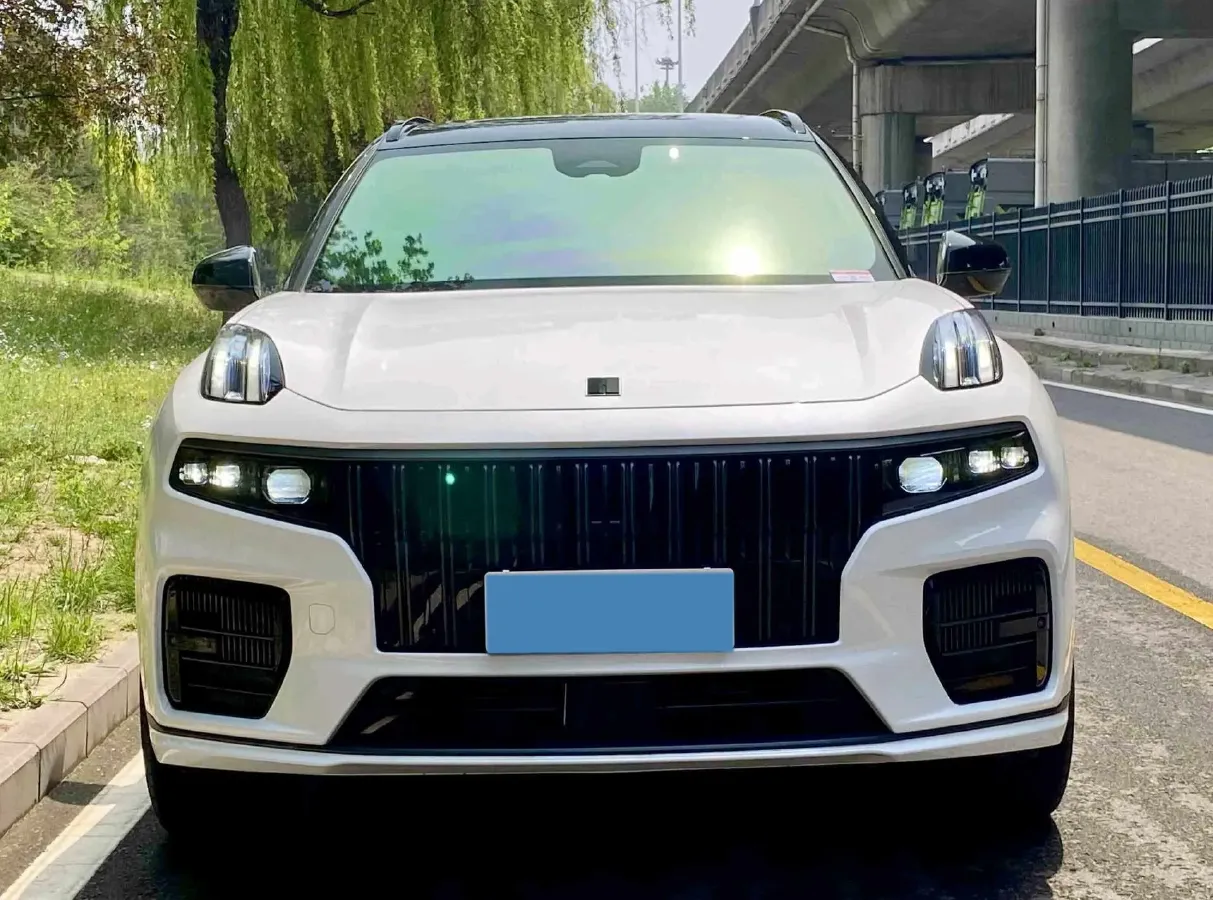 2021 Kia Carnival 2.0T 233HP L4 8AT,autocango,china used car exporter,china ev exporter,chinese used car exporter,chinese used ev exporter