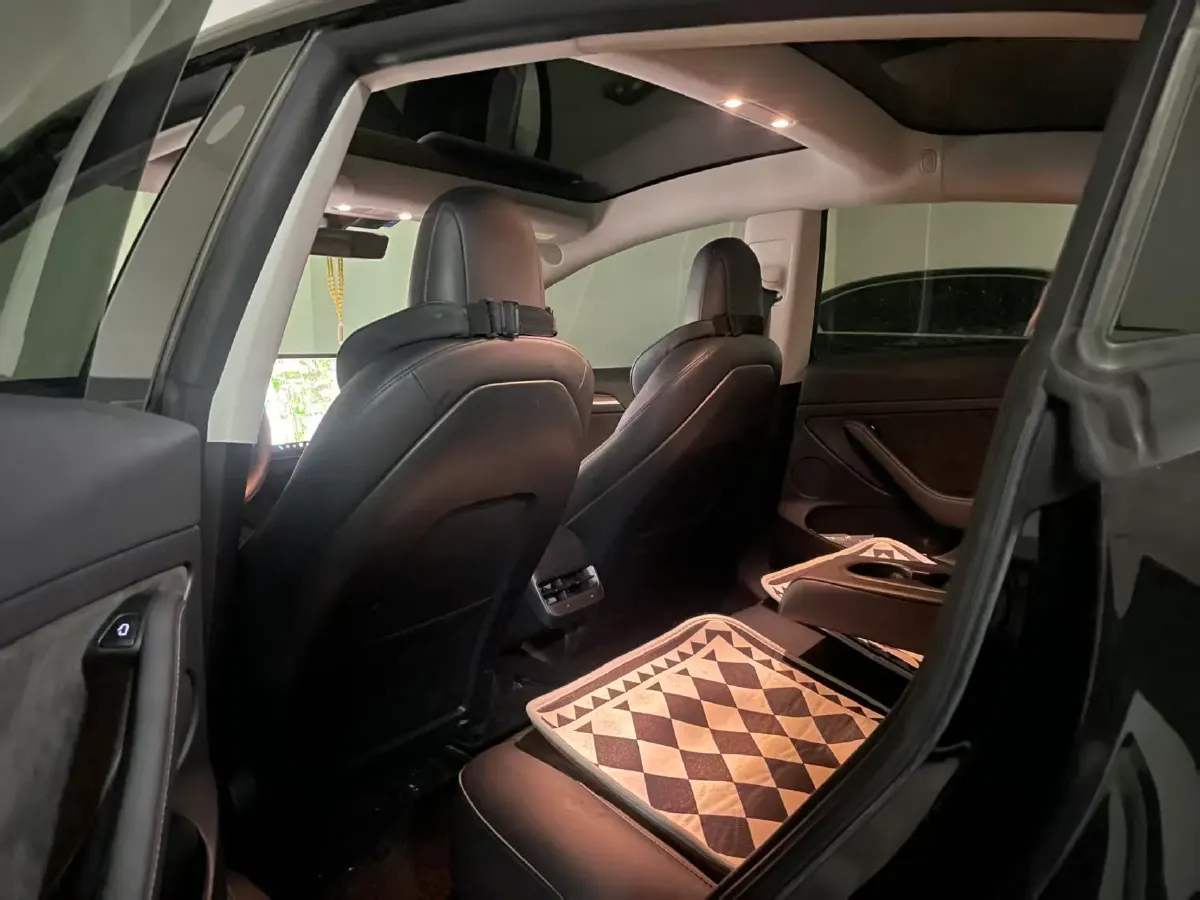 2021 Tesla Model 3 BEV 55KWH,autocango,china used car exporter,china ev exporter,chinese used car exporter,chinese used ev exporter