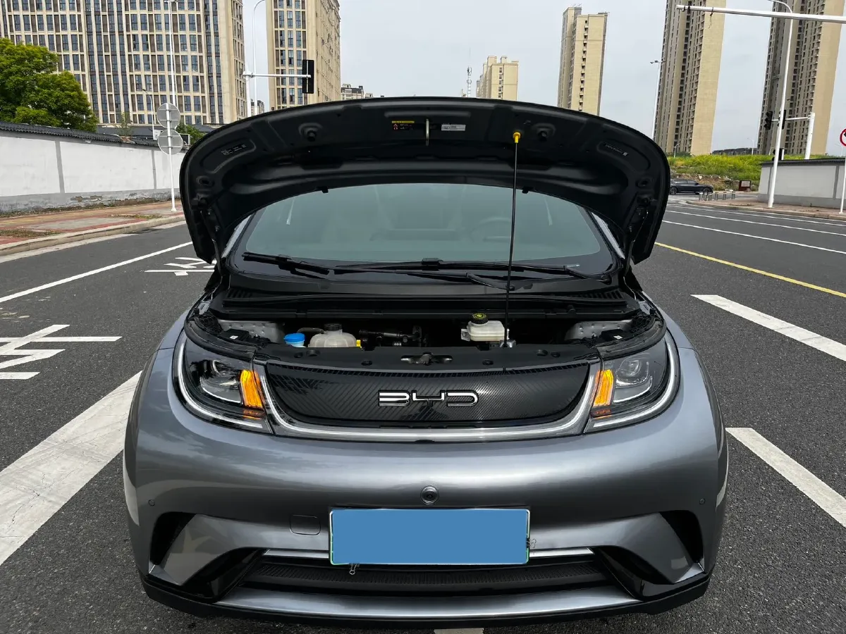 2023 BYD Dolphin BEV 44.928KWH,autocango,china used car exporter,china ev exporter,chinese used car exporter,chinese used ev exporter