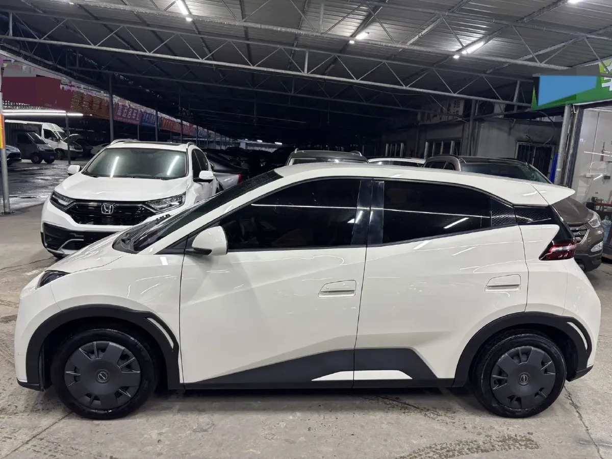 2024 BYD Seagull BEV 30.08KWH,autocango,china used car exporter,china ev exporter,chinese used car exporter,chinese used ev exporter