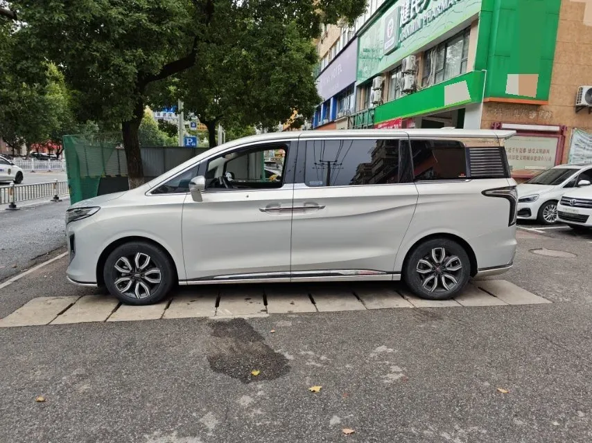 2023 HongQi HQ9 2.0T 252HP L4 8AT,autocango,china used car exporter,china ev exporter,chinese used car exporter,chinese used ev exporter