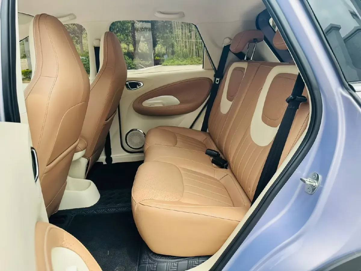 2025 WuLing BinGuo BEV,autocango,china used car exporter,china ev exporter,chinese used car exporter,chinese used ev exporter