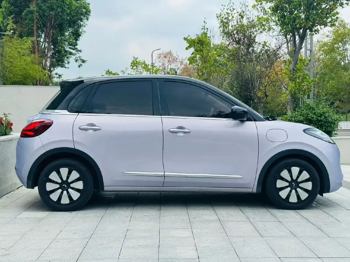 2025 WuLing BinGuo BEV,autocango,china used car exporter,china ev exporter,chinese used car exporter,chinese used ev exporter