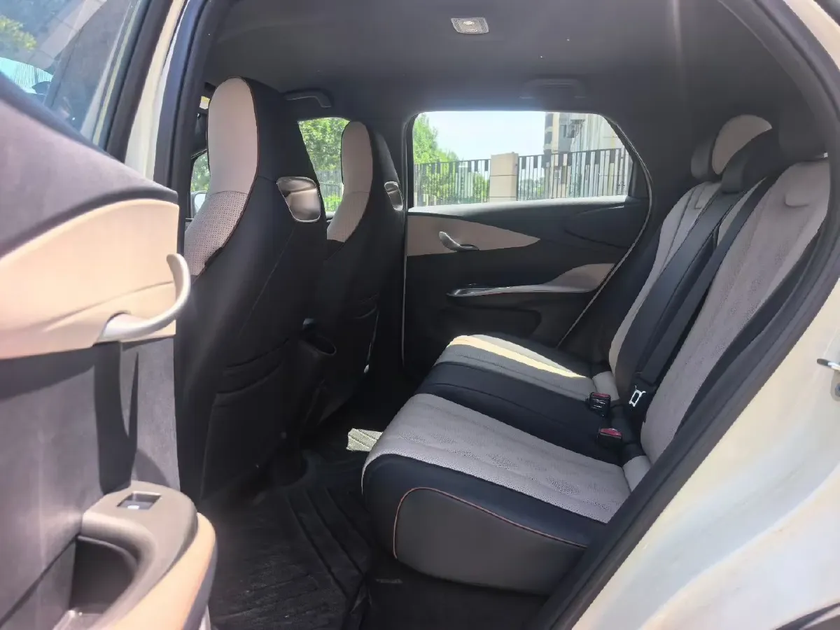 2025 BYD Dolphin BEV 44.928KWH,autocango,china used car exporter,china ev exporter,chinese used car exporter,chinese used ev exporter