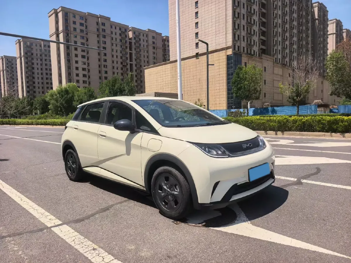2025 BYD Dolphin BEV 44.928KWH,autocango,china used car exporter,china ev exporter,chinese used car exporter,chinese used ev exporter