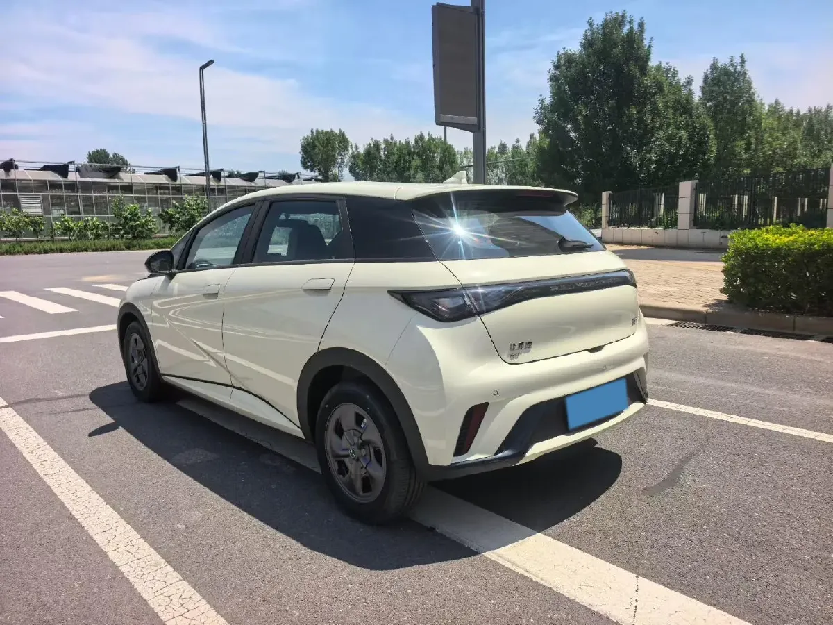 2025 BYD Dolphin BEV 44.928KWH,autocango,china used car exporter,china ev exporter,chinese used car exporter,chinese used ev exporter