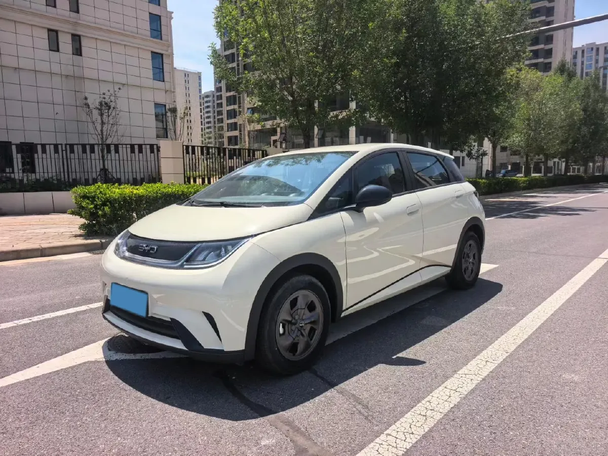 2025 BYD Dolphin BEV 44.928KWH,autocango,china used car exporter,china ev exporter,chinese used car exporter,chinese used ev exporter