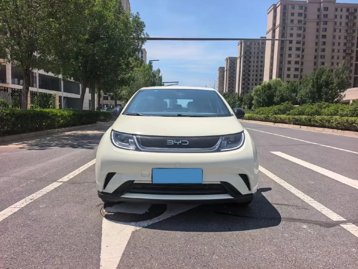 2025 BYD Dolphin BEV 44.928KWH,autocango,china used car exporter,china ev exporter,chinese used car exporter,chinese used ev exporter