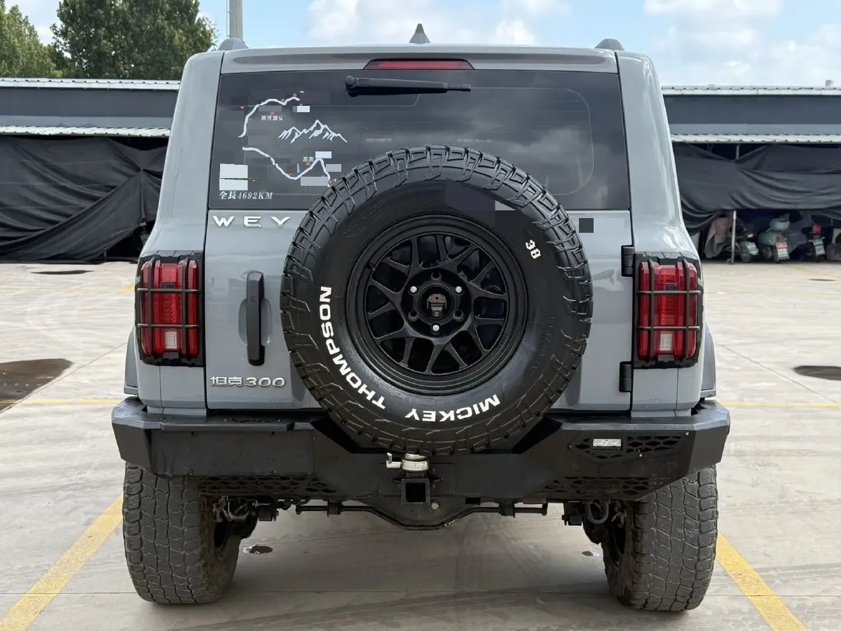 2021 Tank 300 2.0T 227HP L4 8AT,autocango,china used car exporter,china ev exporter,chinese used car exporter,chinese used ev exporter