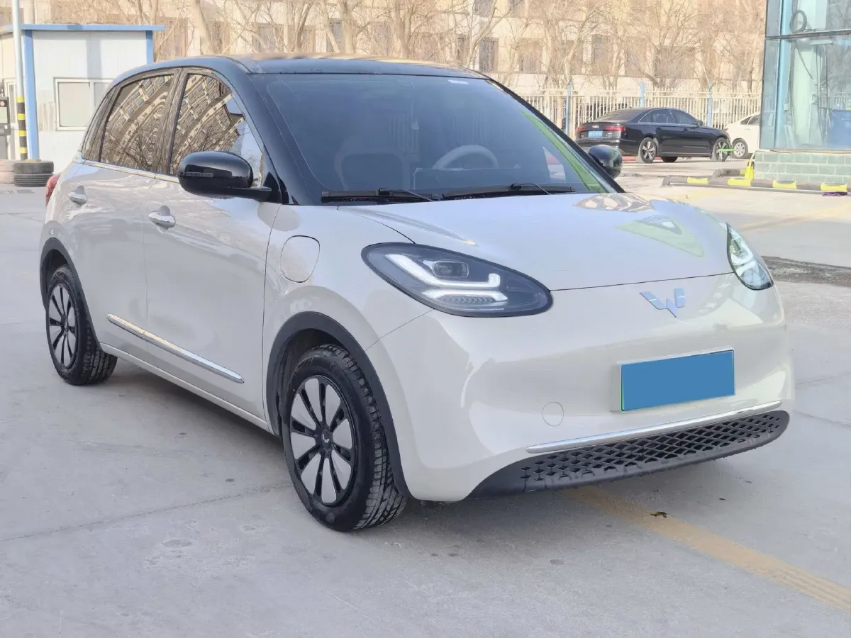 2024 WuLing BinGuo BEV 31.9KWH,autocango,china used car exporter,china ev exporter,chinese used car exporter,chinese used ev exporter