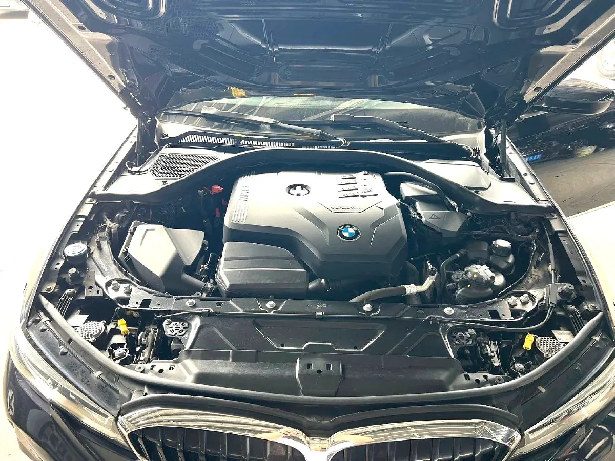 2021 BMW 3 Series 2.0T 184HP L4 8AT,autocango,china used car exporter,china ev exporter,chinese used car exporter,chinese used ev exporter
