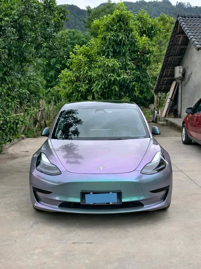 2022 Tesla Model 3 BEV 60KWH,autocango,china used car exporter,china ev exporter,chinese used car exporter,chinese used ev exporter