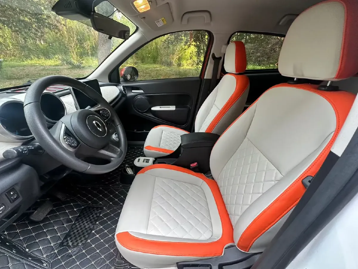 2019 Ora BlackCat BEV 33KWH,autocango,china used car exporter,china ev exporter,chinese used car exporter,chinese used ev exporter