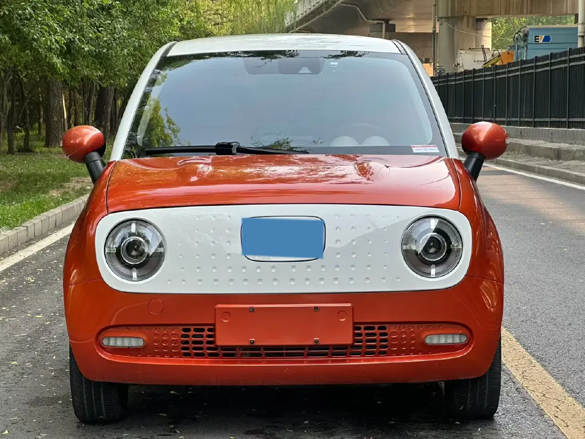 2019 Ora BlackCat BEV 33KWH,autocango,china used car exporter,china ev exporter,chinese used car exporter,chinese used ev exporter