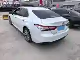 2019 Toyota Camry 2.0L 178HP L4 CVT