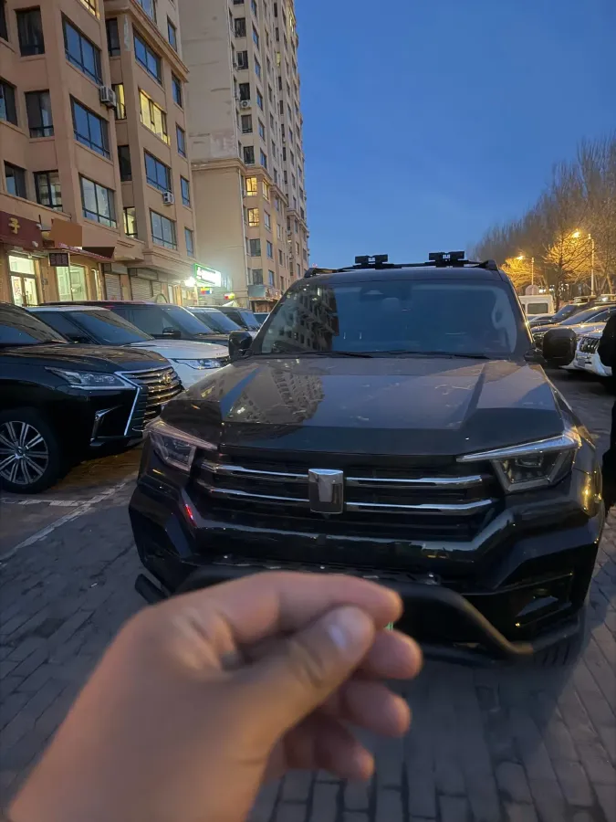 2024 Tank 400 2.0T 252HP L4 9AT PHEV 36.7/37.1KWH,autocango,china used car exporter,china ev exporter,chinese used car exporter,chinese used ev exporter