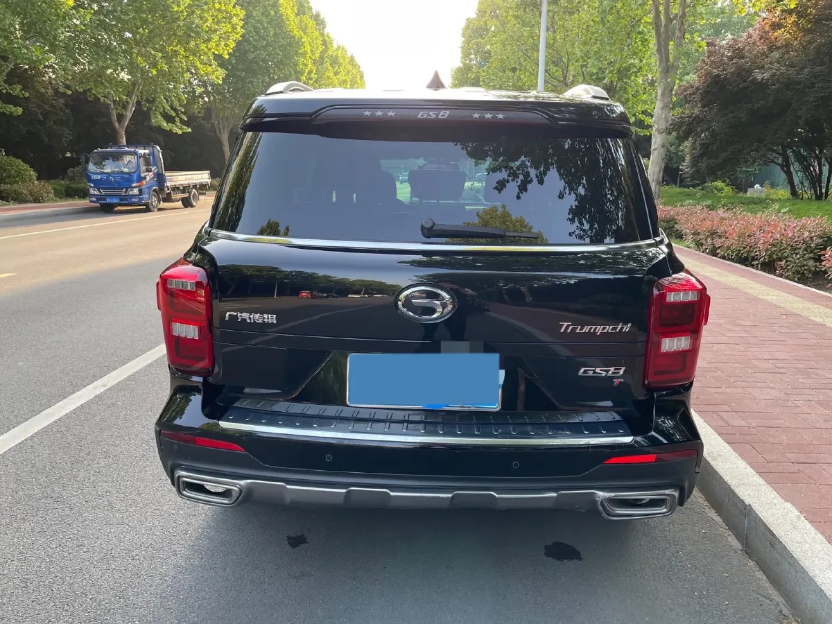 2021 GAC Trumpchi GS8 2.0T 252HP L4 6AT,autocango,china used car exporter,china ev exporter,chinese used car exporter,chinese used ev exporter