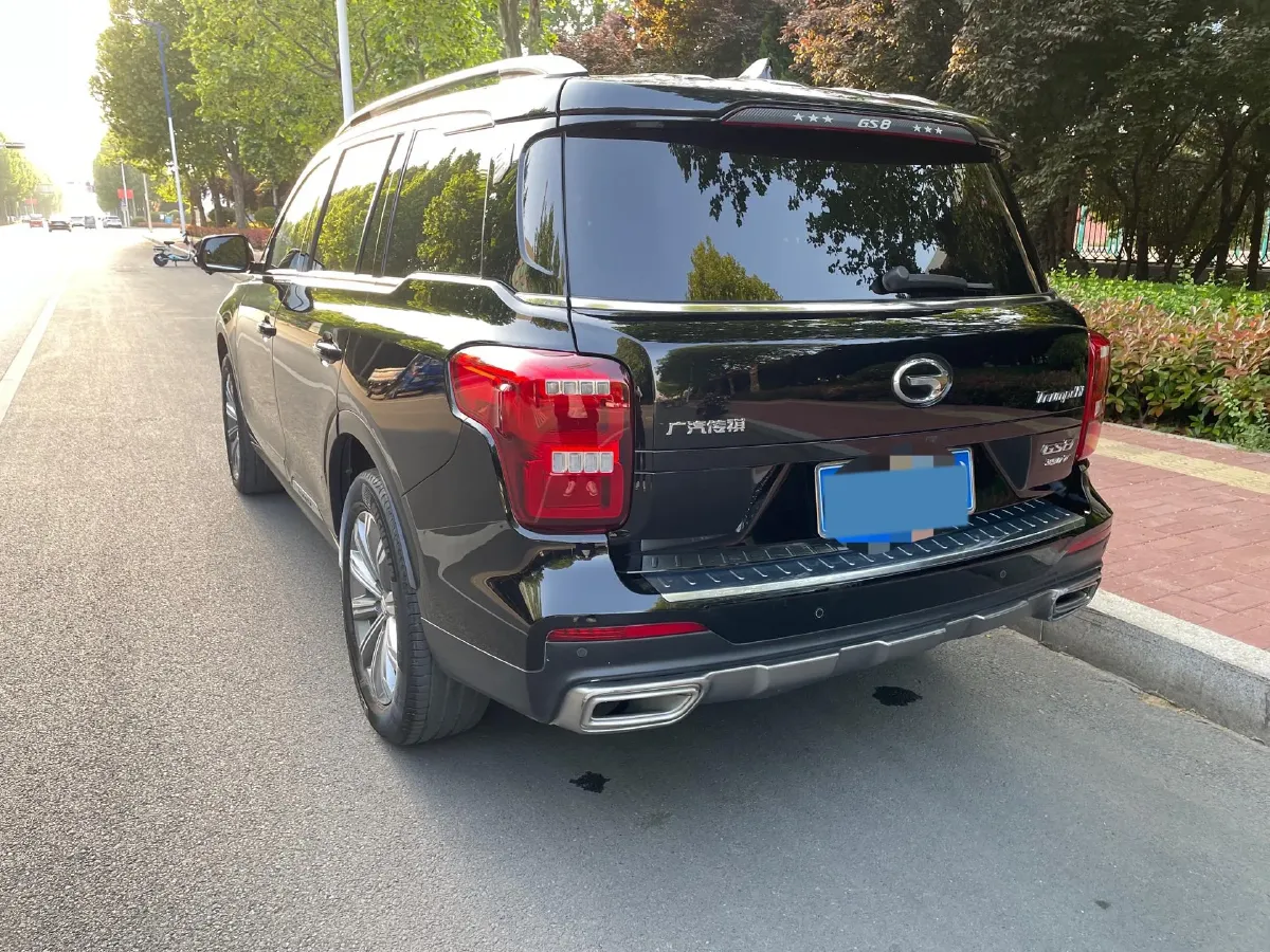 2021 GAC Trumpchi GS8 2.0T 252HP L4 6AT,autocango,china used car exporter,china ev exporter,chinese used car exporter,chinese used ev exporter