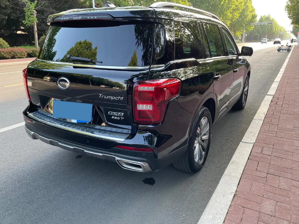 2021 GAC Trumpchi GS8 2.0T 252HP L4 6AT,autocango,china used car exporter,china ev exporter,chinese used car exporter,chinese used ev exporter