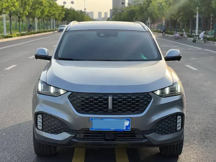 2020 WEY VV6 2.0T 227HP L4 7DCT,autocango,china used car exporter,china ev exporter,chinese used car exporter,chinese used ev exporter