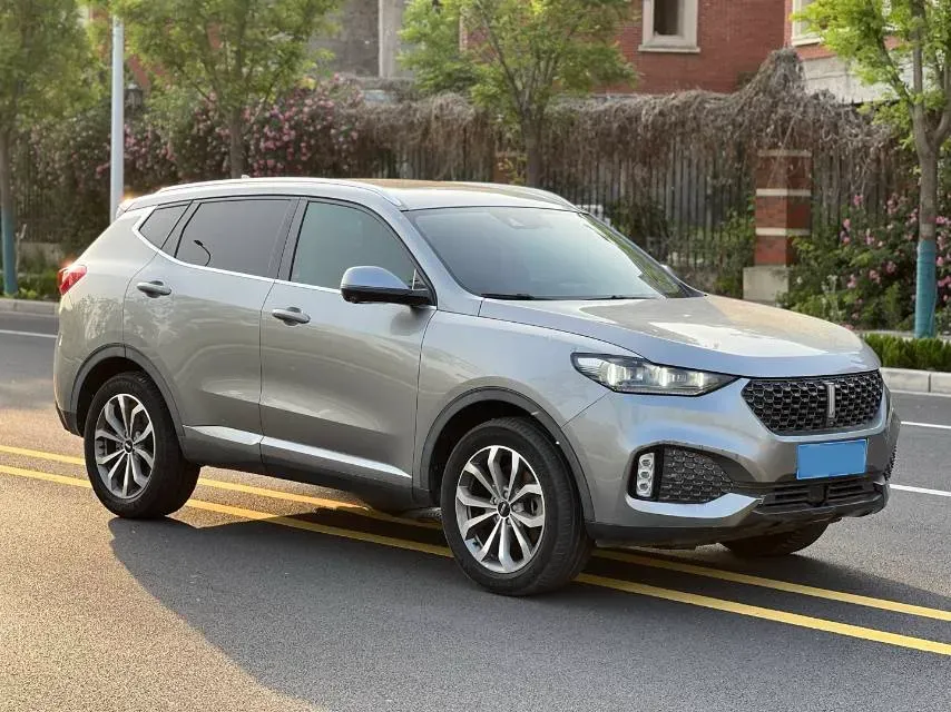 2020 WEY VV6 2.0T 227HP L4 7DCT,autocango,china used car exporter,china ev exporter,chinese used car exporter,chinese used ev exporter