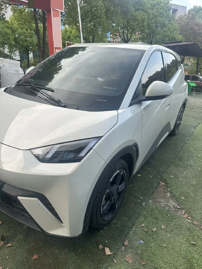 2024 BYD Seagull BEV 38.88KWH,autocango,china used car exporter,china ev exporter,chinese used car exporter,chinese used ev exporter
