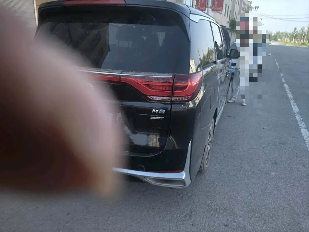 2021 GAC Trumpchi M8 2.0T 252HP L4 8AT,autocango,china used car exporter,china ev exporter,chinese used car exporter,chinese used ev exporter