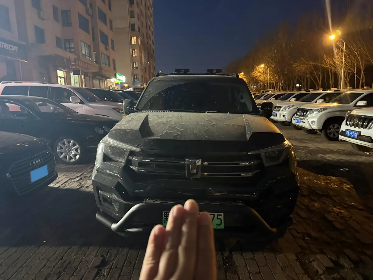 2024 Tank 400 2.0T 252HP L4 9AT PHEV 36.7/37.1KWH,autocango,china used car exporter,china ev exporter,chinese used car exporter,chinese used ev exporter