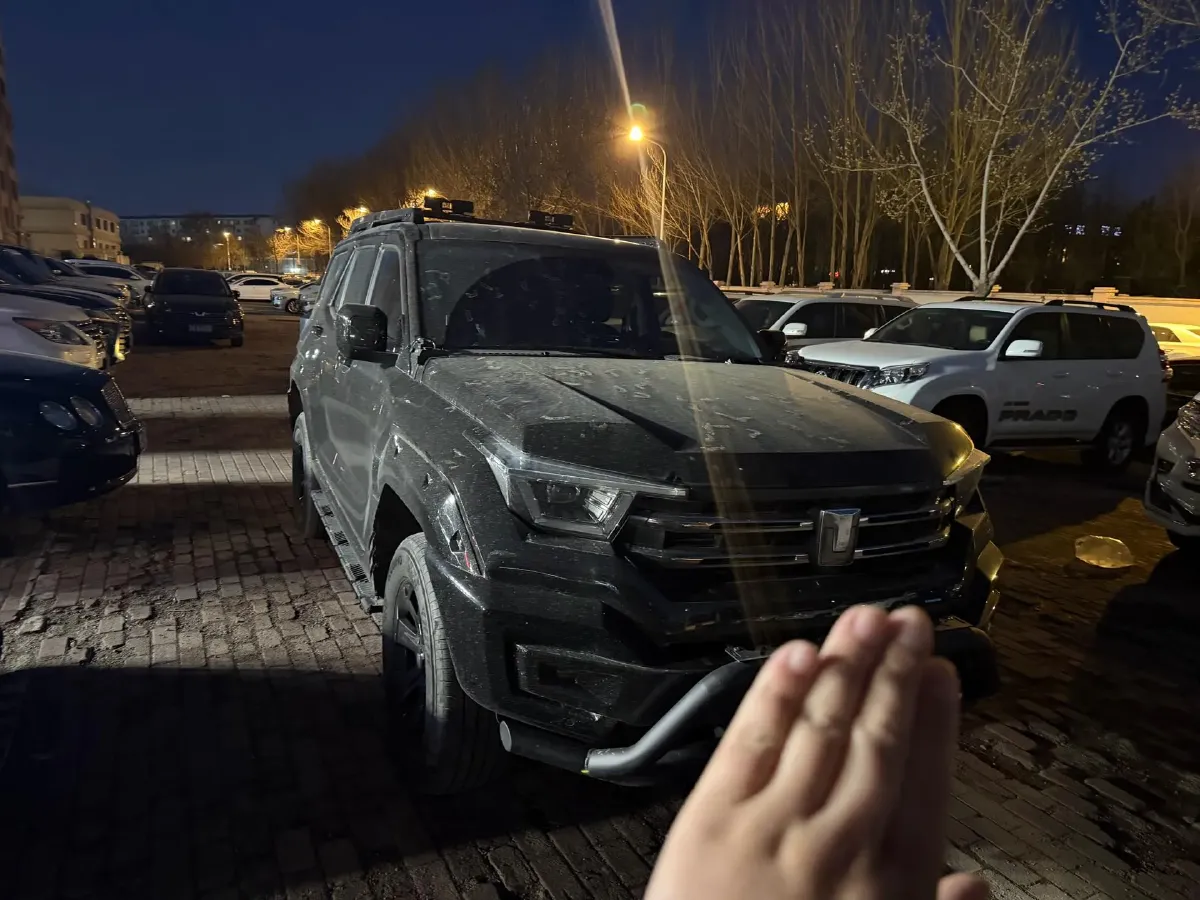 2024 Tank 400 2.0T 252HP L4 9AT PHEV 36.7/37.1KWH,autocango,china used car exporter,china ev exporter,chinese used car exporter,chinese used ev exporter