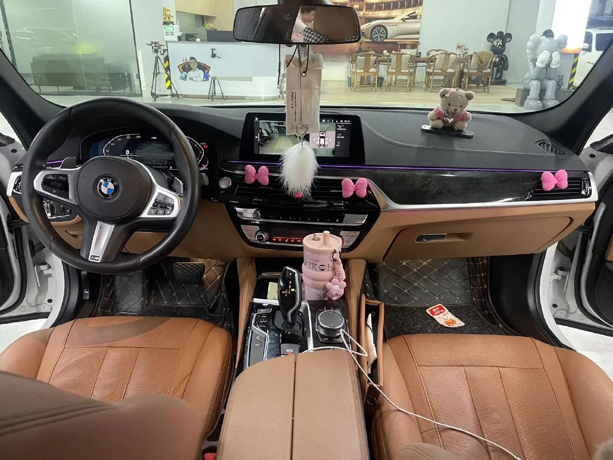 2020 BMW 5 Series 2.0T 252HP L4 8AT,autocango,china used car exporter,china ev exporter,chinese used car exporter,chinese used ev exporter