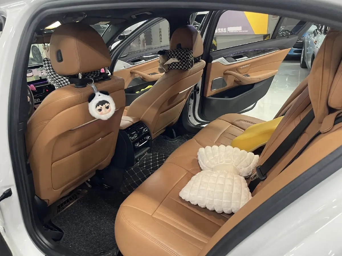 2020 BMW 5 Series 2.0T 252HP L4 8AT,autocango,china used car exporter,china ev exporter,chinese used car exporter,chinese used ev exporter