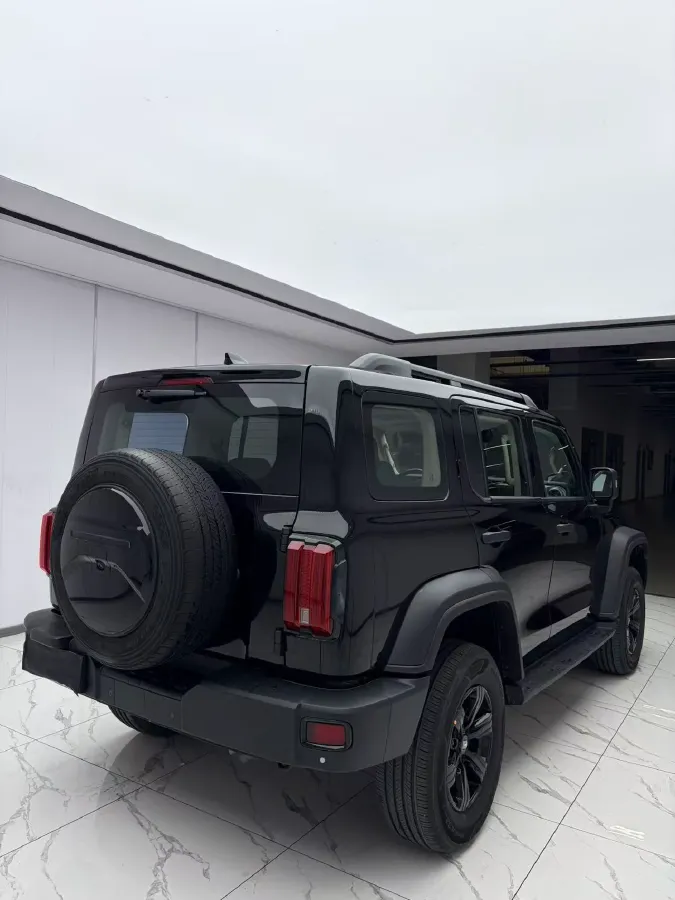 2023 Tank 300 2.0T 227HP L4 8AT,autocango,china used car exporter,china ev exporter,chinese used car exporter,chinese used ev exporter