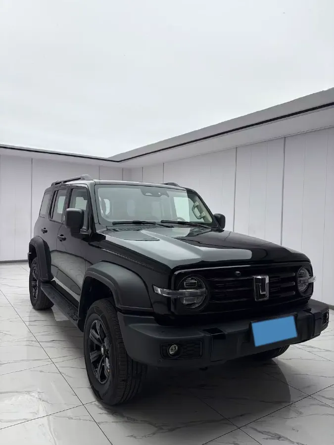 2023 Tank 300 2.0T 227HP L4 8AT,autocango,china used car exporter,china ev exporter,chinese used car exporter,chinese used ev exporter