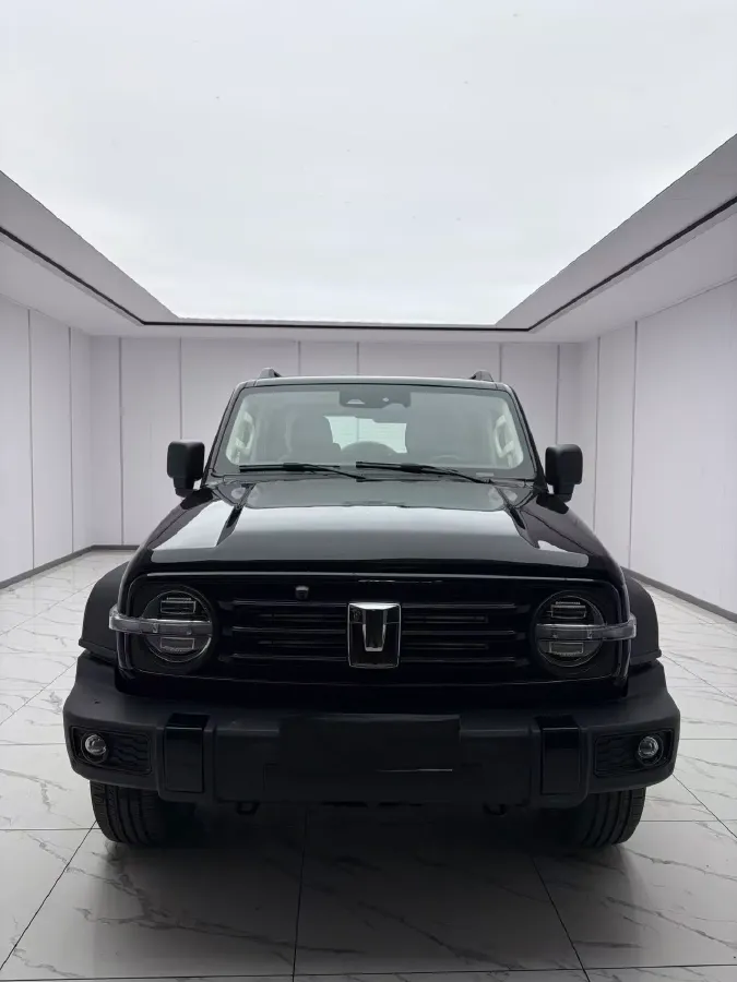 2023 Tank 300 2.0T 227HP L4 8AT,autocango,china used car exporter,china ev exporter,chinese used car exporter,chinese used ev exporter