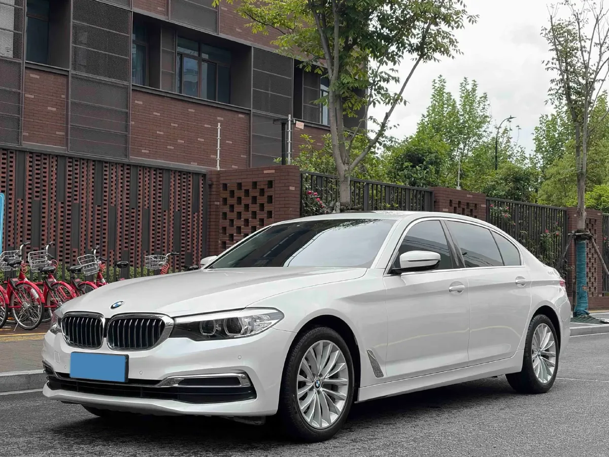 2020 BMW 5 Series 2.0T 184HP L4 8AT,autocango,china used car exporter,china ev exporter,chinese used car exporter,chinese used ev exporter