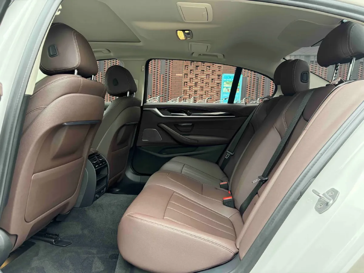 2020 BMW 5 Series 2.0T 184HP L4 8AT,autocango,china used car exporter,china ev exporter,chinese used car exporter,chinese used ev exporter