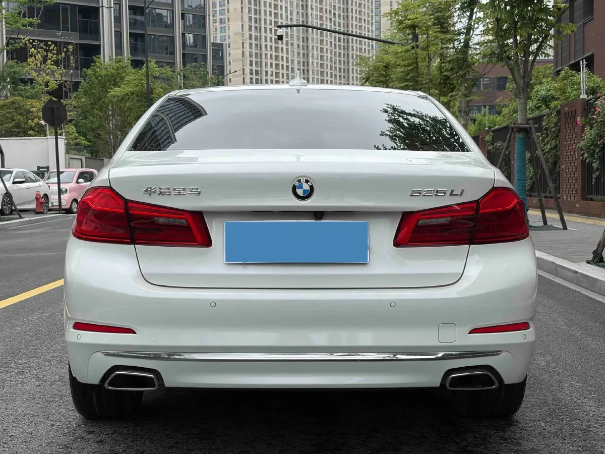 2020 BMW 5 Series 2.0T 184HP L4 8AT,autocango,china used car exporter,china ev exporter,chinese used car exporter,chinese used ev exporter