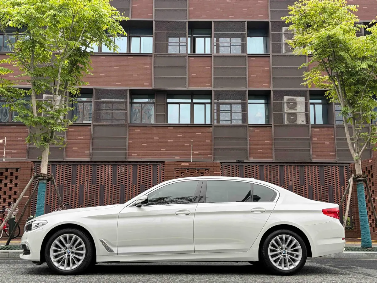 2020 BMW 5 Series 2.0T 184HP L4 8AT,autocango,china used car exporter,china ev exporter,chinese used car exporter,chinese used ev exporter
