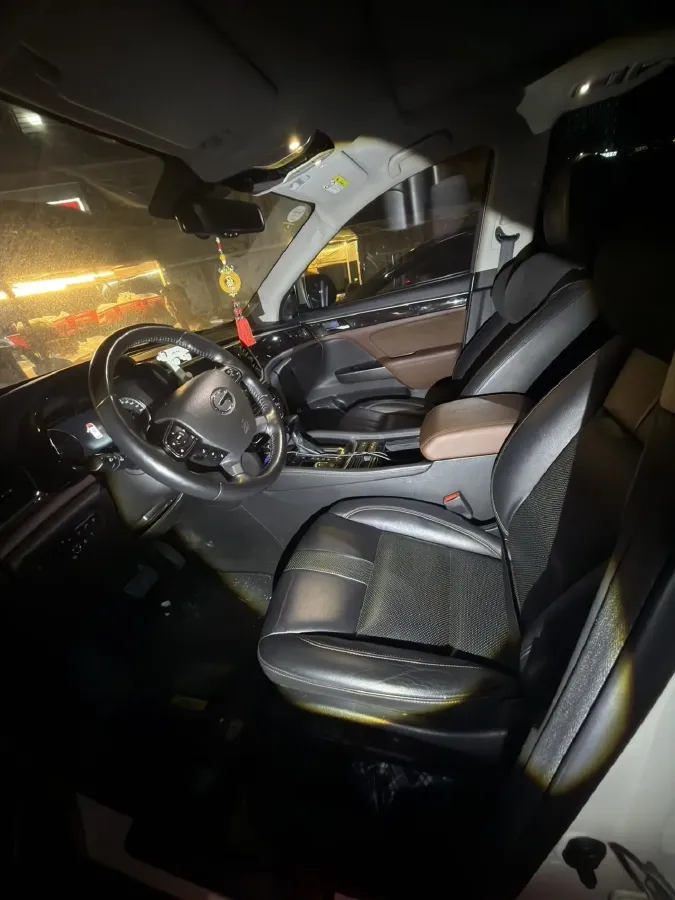 2019 GAC Trumpchi GS8 2.0T 252HP L4 6AT,autocango,china used car exporter,china ev exporter,chinese used car exporter,chinese used ev exporter