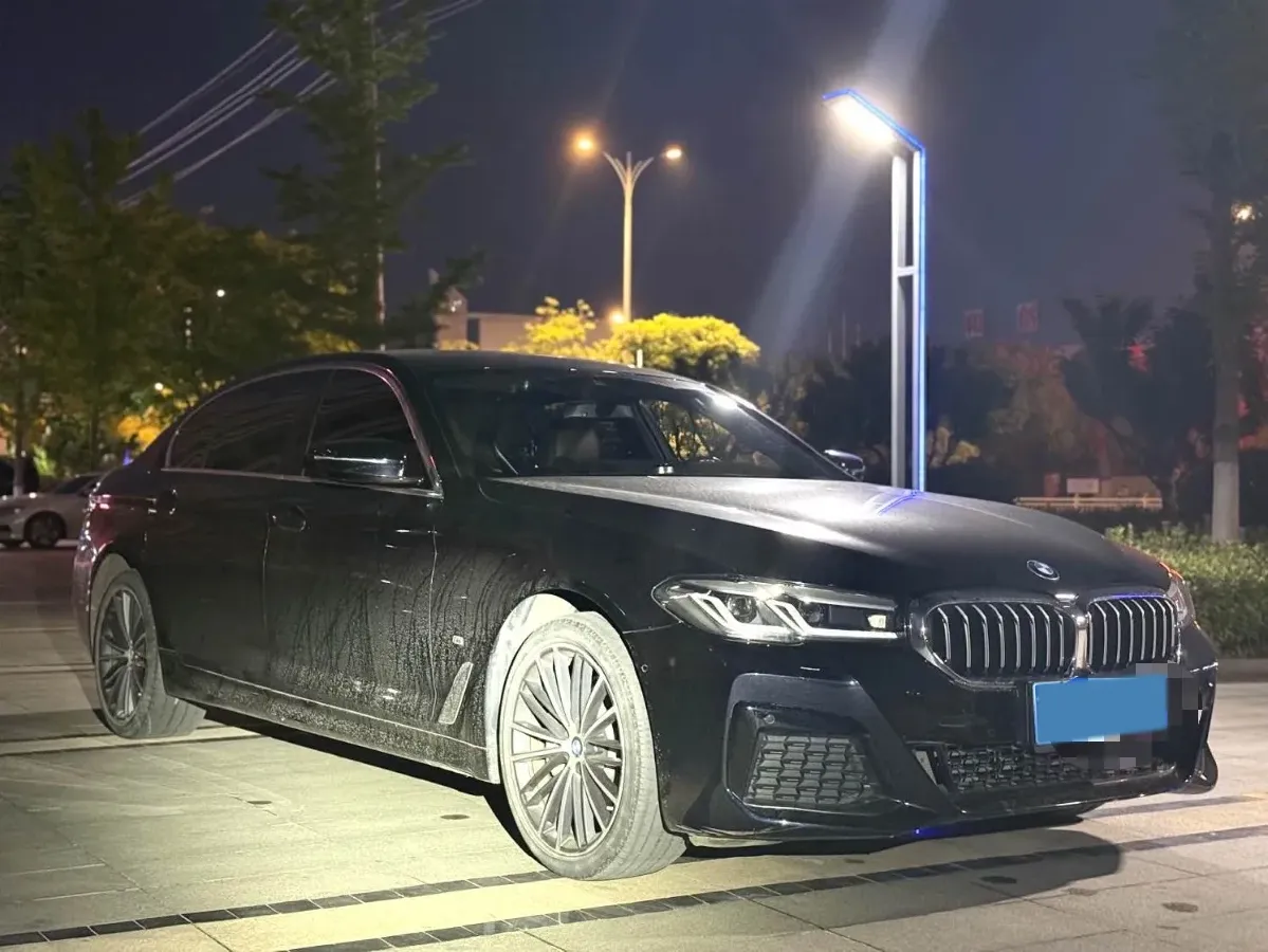 2021 BMW 5 Series 2.0T 252HP L4 8AT,autocango,china used car exporter,china ev exporter,chinese used car exporter,chinese used ev exporter